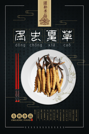 高端大气黑金冬虫夏草补品海报