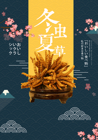 冬虫夏草养生海报