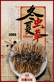 中国风中药文化冬虫夏草海报