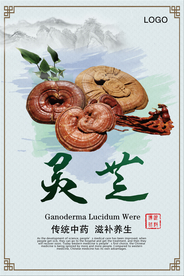中国风灵芝药材海报