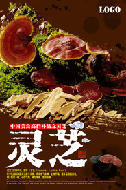 灵芝中国风海报