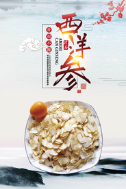 中国风中药西洋参海报