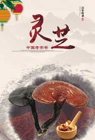 中国风灵芝宣传展板海报