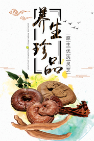 养生珍品灵芝海报