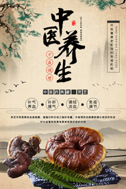 大气中国风灵芝海报