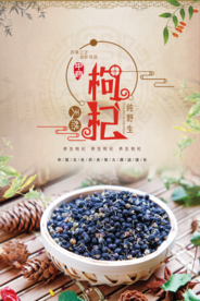 枸杞海报