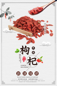 创意大气枸杞海报.