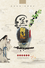 养生中国风黑枸杞创意海报