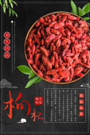 养生珍品宁夏枸杞海报