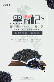 黑枸杞宣传海报