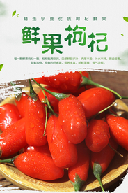 鲜果枸杞促销海报