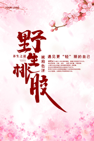 粉色中国风野生桃胶美容海报