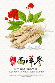 中药西洋参宣传海报