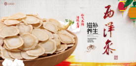 中药养生西洋参海报