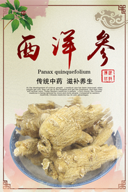 中国风西洋参药材海报