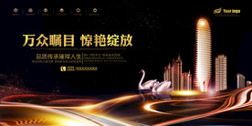 万众瞩目 惊艳绽放