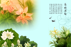 荷塘清趣荷叶荷花