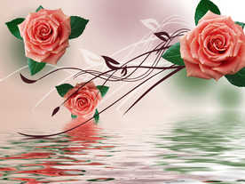 玫瑰花波纹