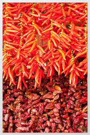 辣椒红椒配料背景海报素材