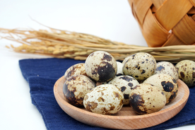 鸟蛋食材背景海报素材