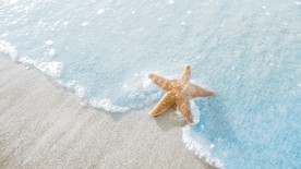 浅蓝沙滩治愈海星图片