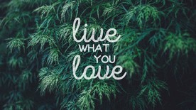 深绿树叶背景欧美简约风图片