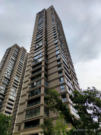 青田秀水名都楼房