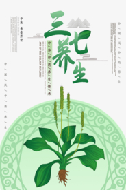简约中国风中药三七宣传海报