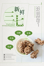 绿色小清新三七中药海报