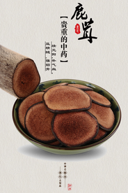 中国风鹿茸海报