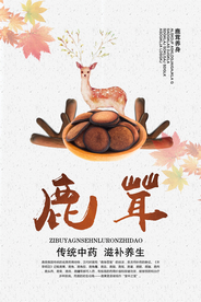 小清新鹿茸宣传海报
