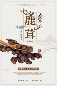 中国风鹿茸中药补品海报