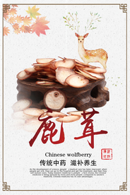 中国风鹿茸药材海报