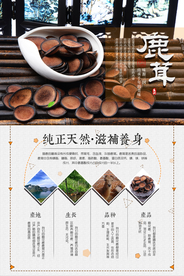 鹿茸保健品海报