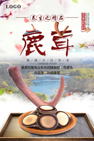 鹿茸名贵中药中国风海报