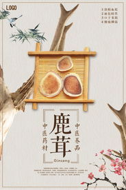 中国风鹿茸中医中药海报