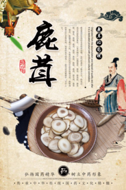中药材鹿茸中国风海报