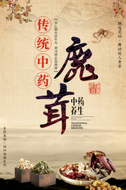 鹿茸中药养生海报