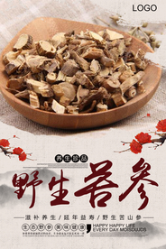 大气复古风格苦参海报