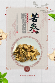 简约中式风简约苦参养生中国海报