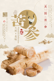 简洁中国风中药苦参海报