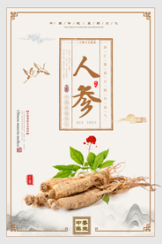 创意大气人参海报
