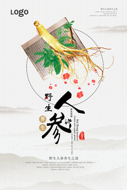 中国风小清新人参宣传海报