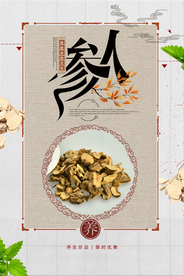 大气创意人参补品海报