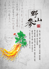 野山参人参养生滋补海报