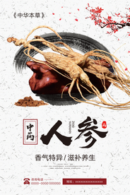 中国风中药人参西洋参宣传海报