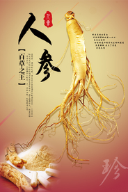 简约风格人参海报