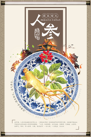 中国风补品中药人参海报