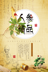 中国风中医药材人参海报