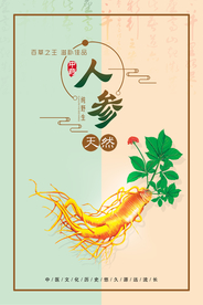 拼色中医药材野生人参宣传海报